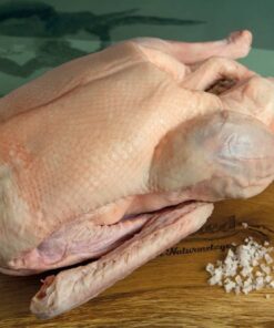Kleine Gans vom Bauer Dangel