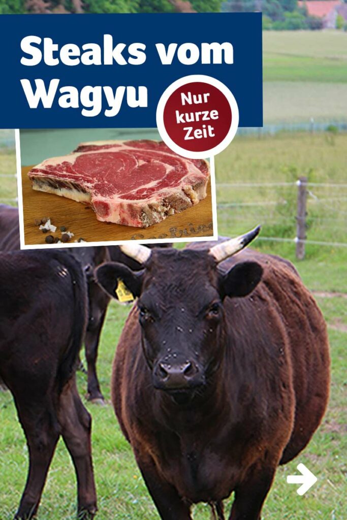 Steaks vom Wagyu