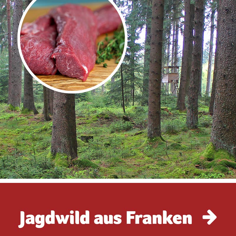 Jagdwild aus den Wäldern Frankens