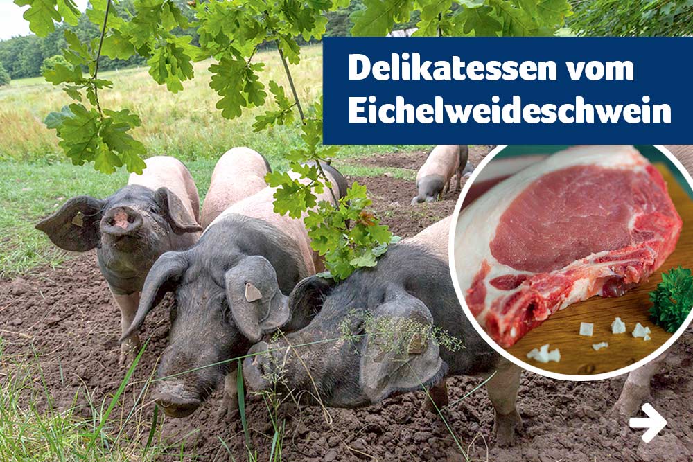 Delikatessen vom Eichelweideschwein